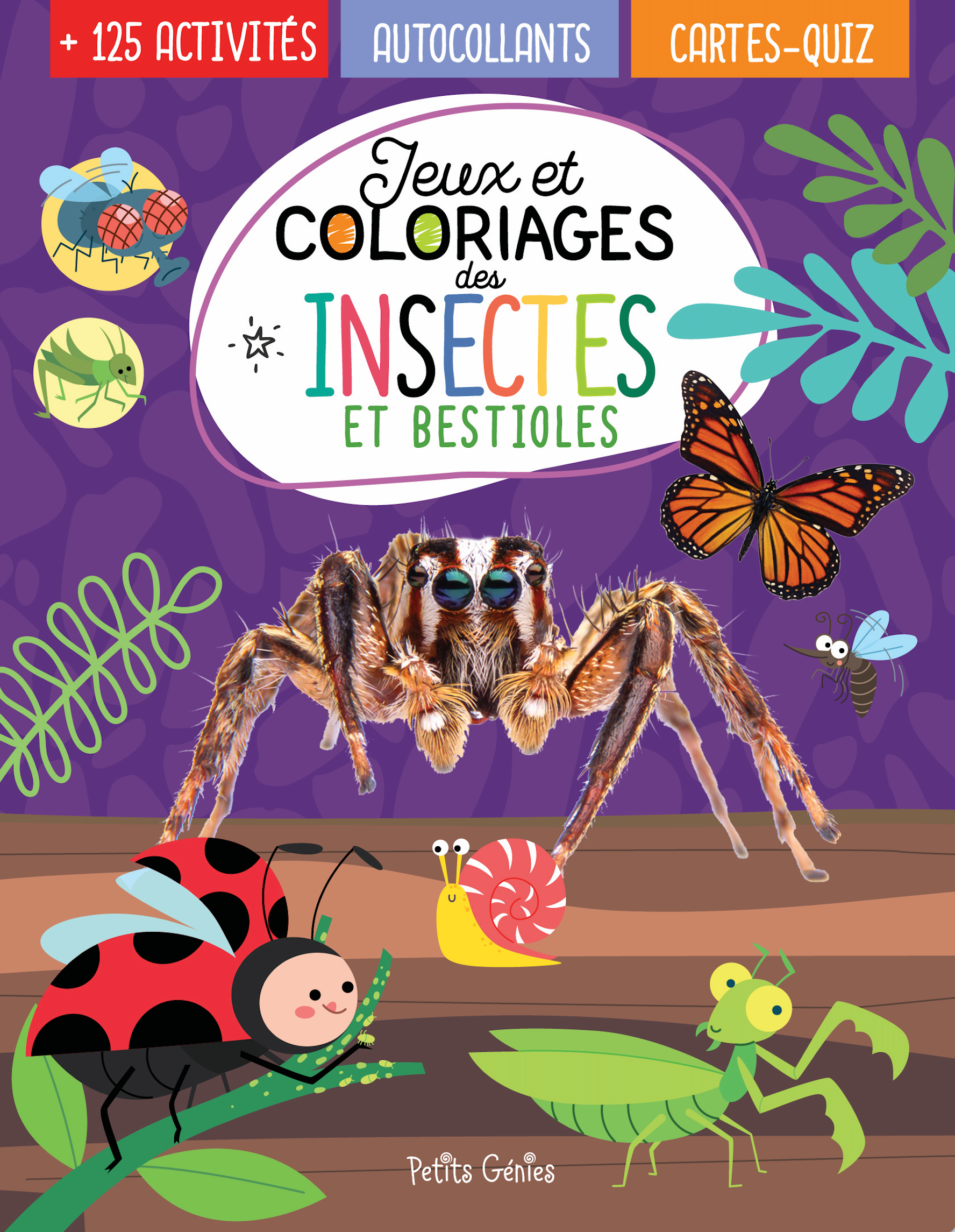 Idée cadeau petite fille de 5 ans : le coloriage lavable insectes