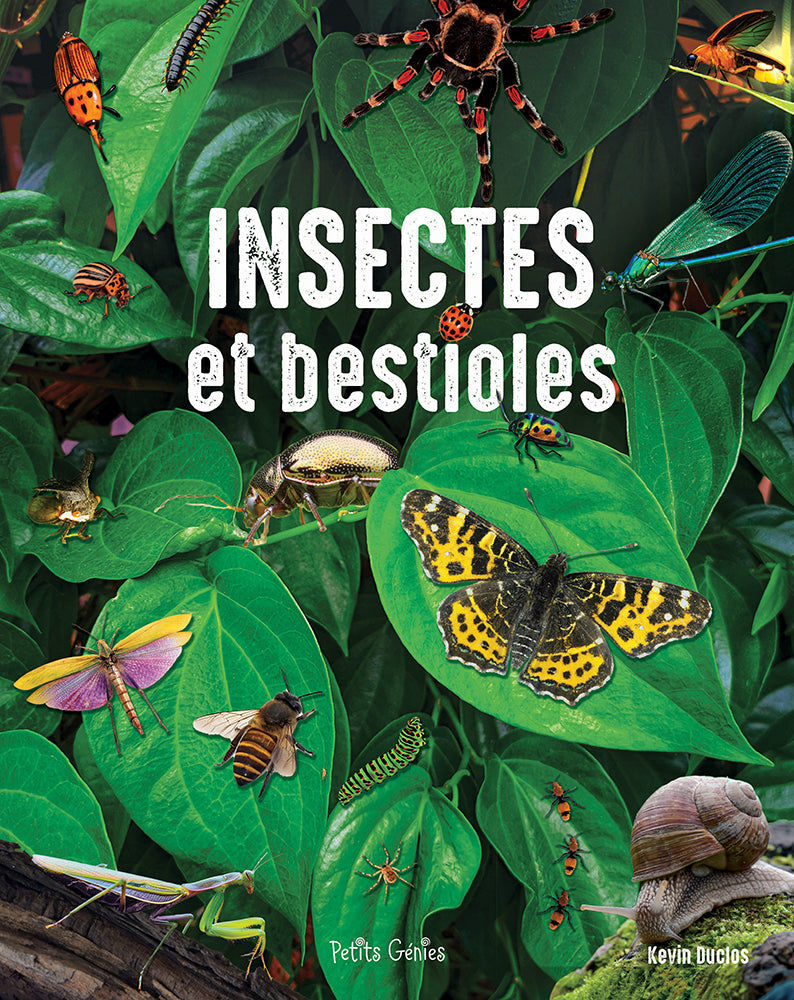 Livres 6 ans +