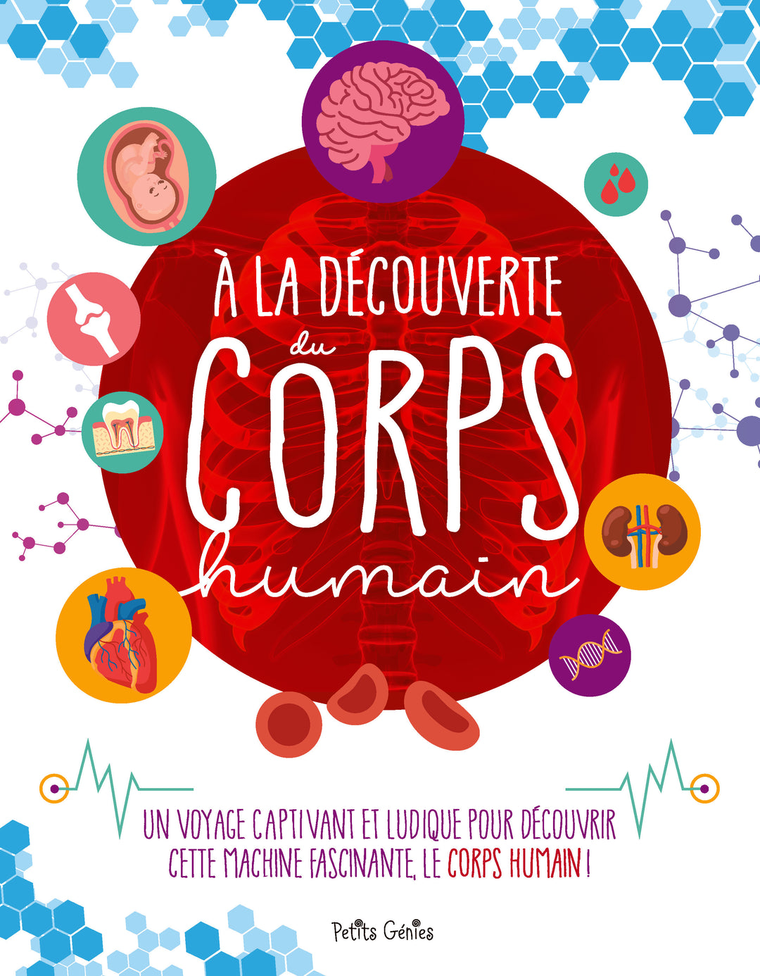 À la découverte du corps humain N.É