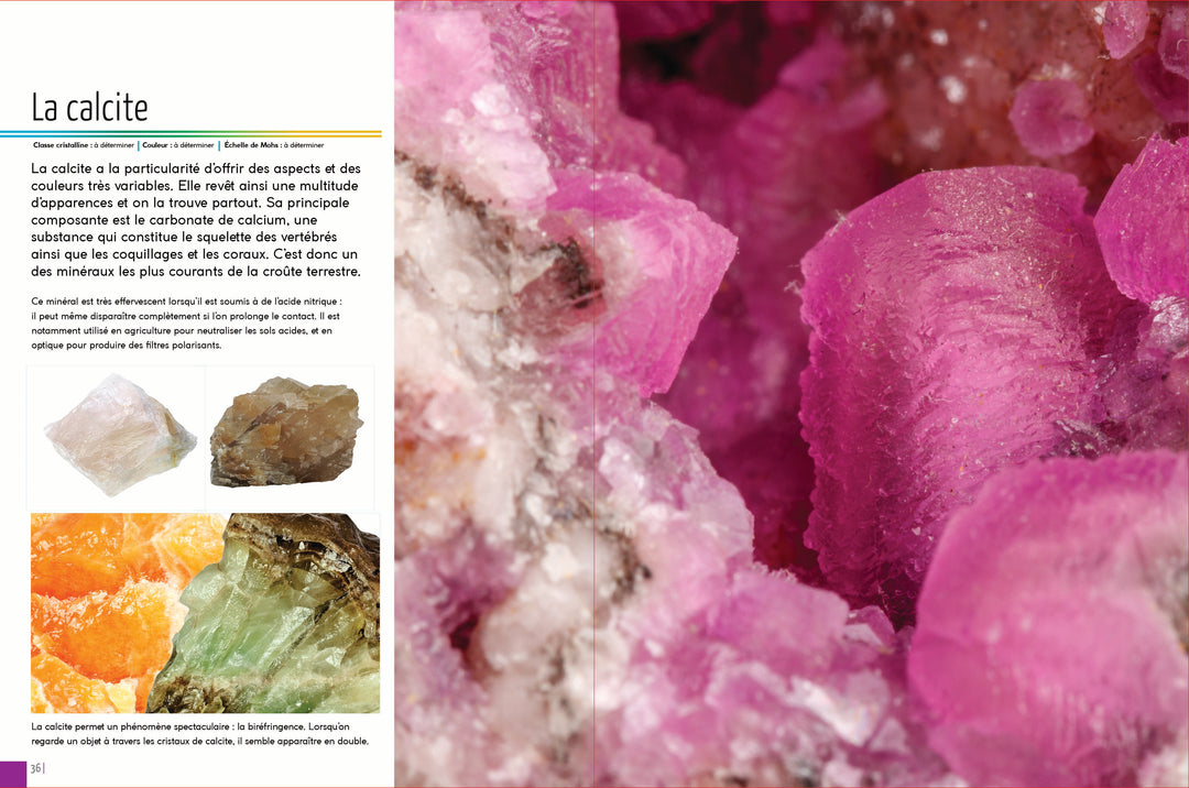 Mon encyclopédie junior des roches et minéraux