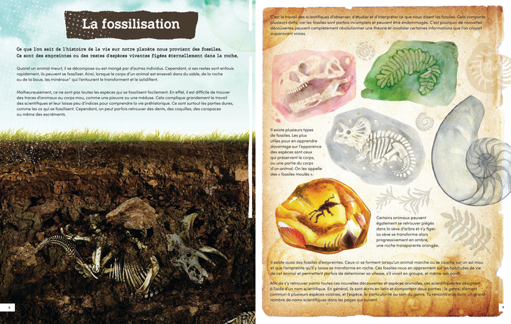 L'évolution des animaux préhistoriques