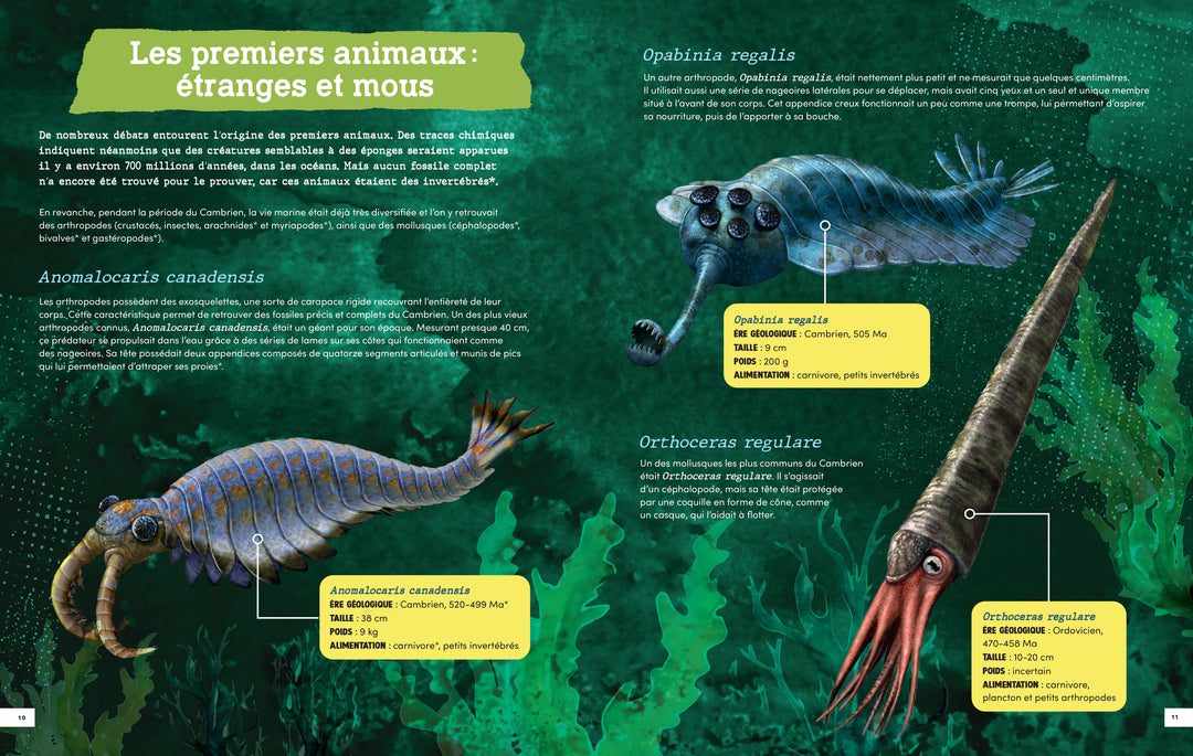 L'évolution des animaux préhistoriques