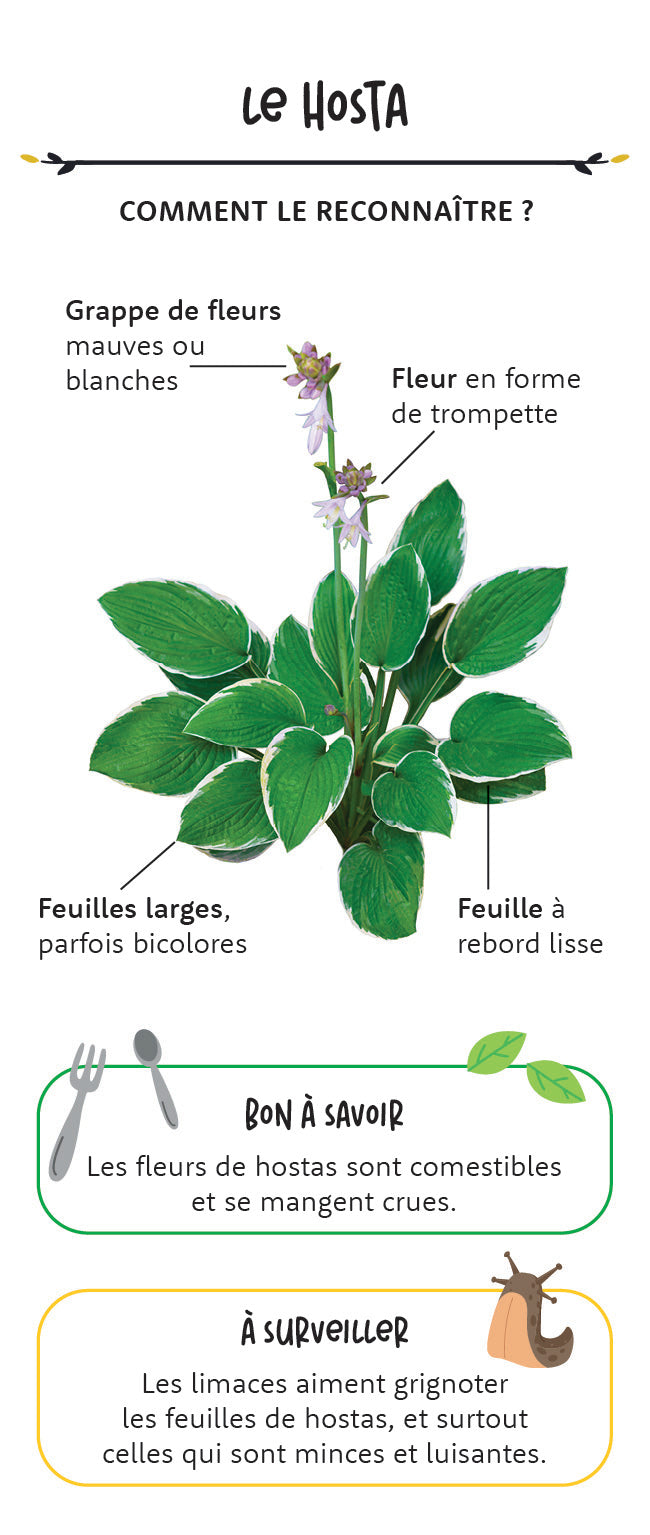 Mon coffret du petit jardinier
