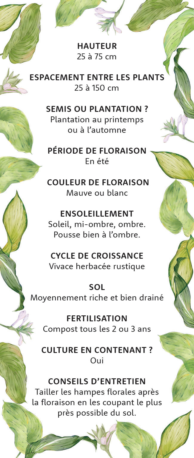 Mon coffret du petit jardinier
