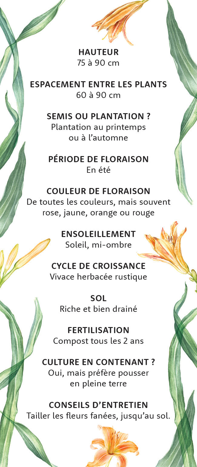Mon coffret du petit jardinier