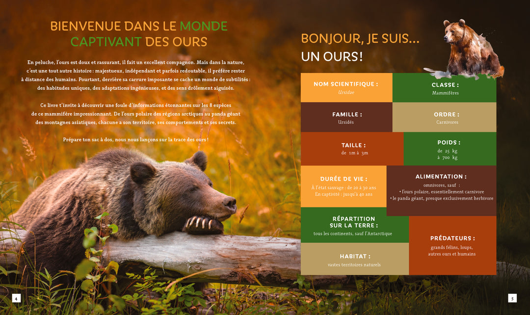 Pas si bête : Les ours