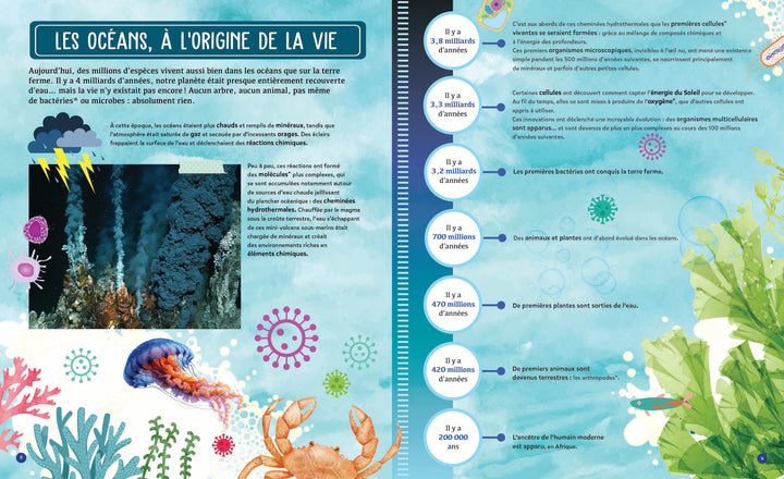 Mon fascinant océan