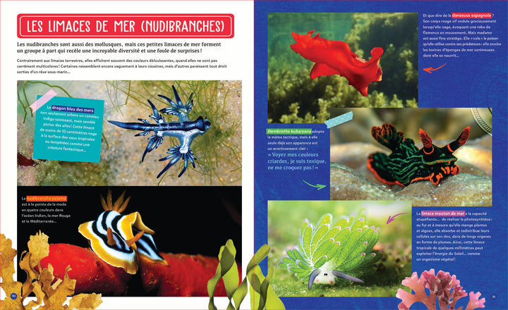 Mon fascinant océan