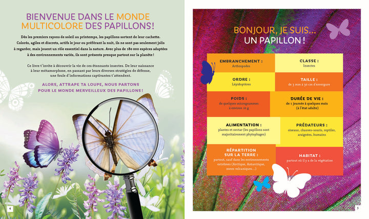 Pas si bête : Les papillons