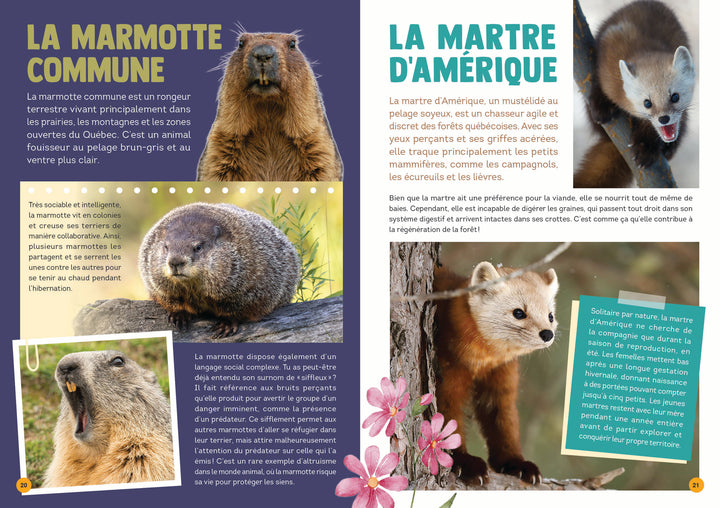 100 animaux du Québec