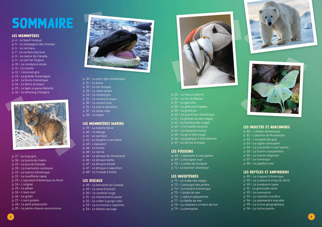 100 animaux du Québec
