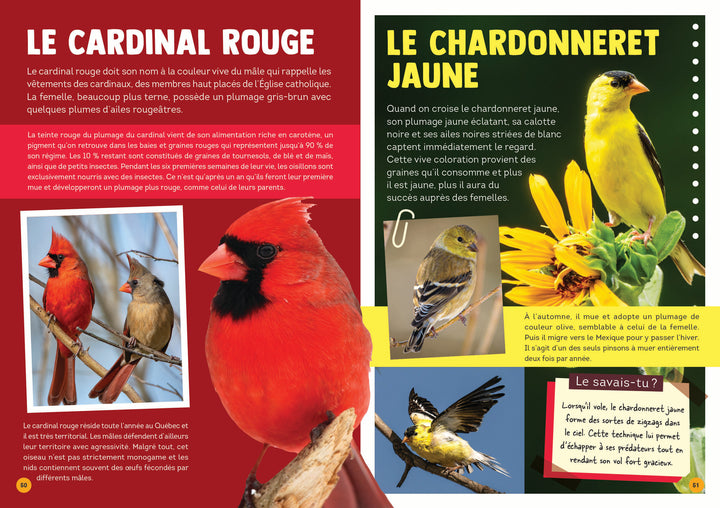 100 animaux du Québec