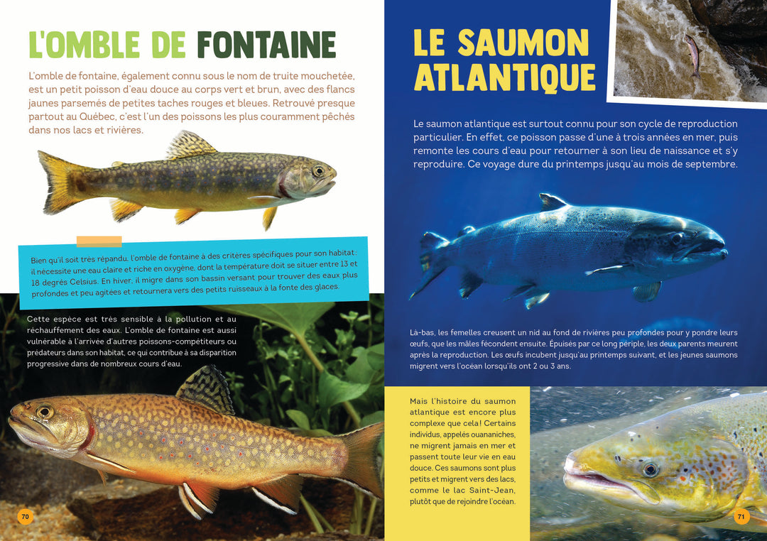 100 animaux du Québec