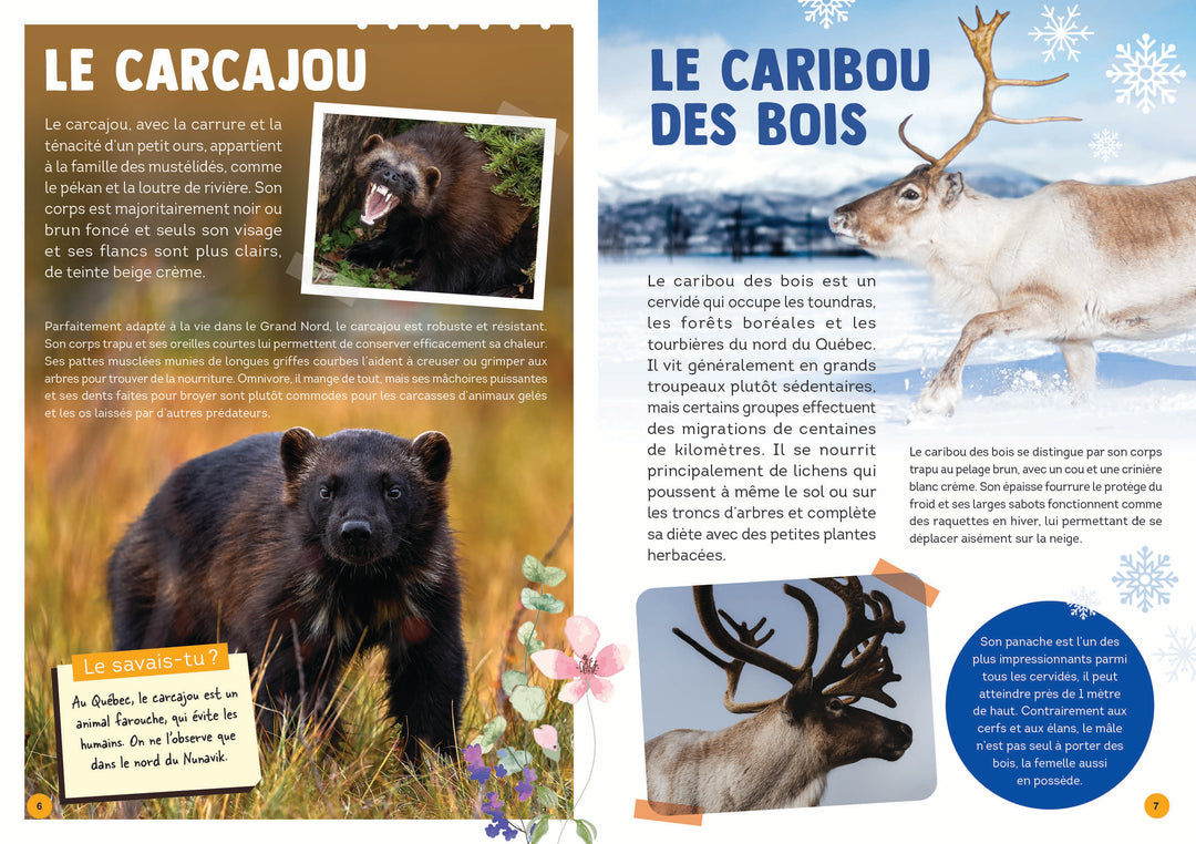 100 animaux du Québec