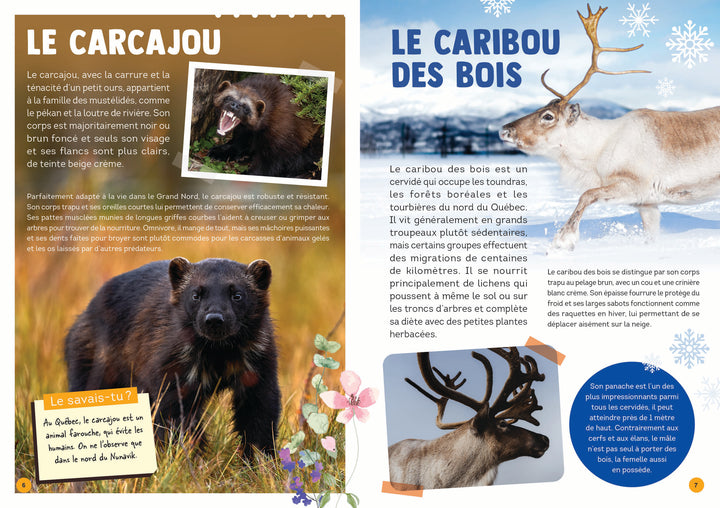 100 animaux du Québec