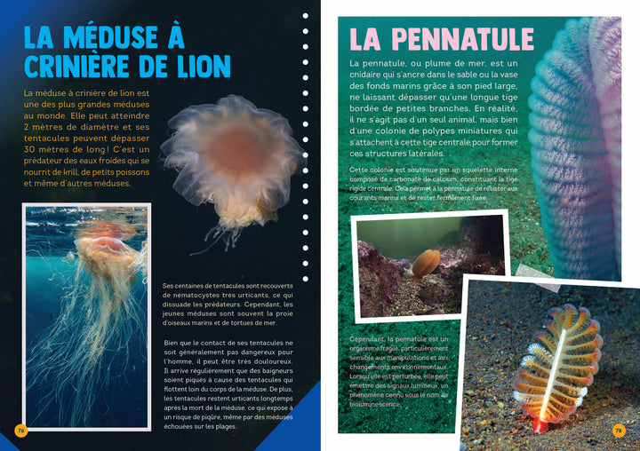 100 animaux du Québec