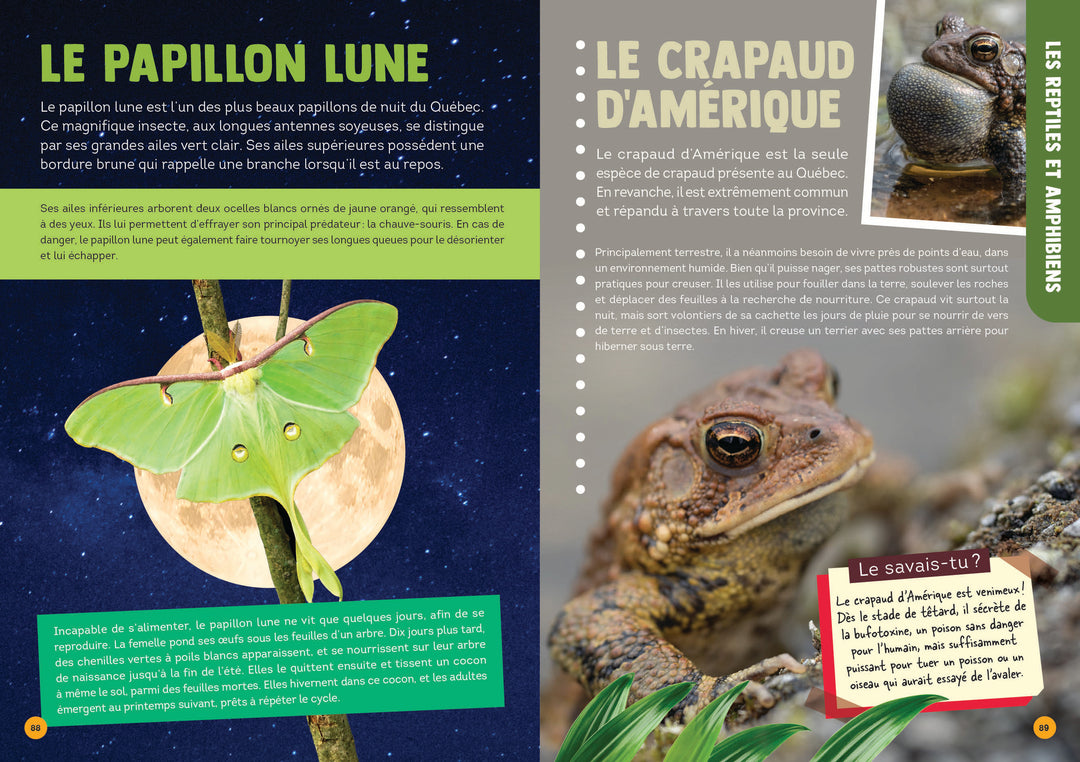 100 animaux du Québec