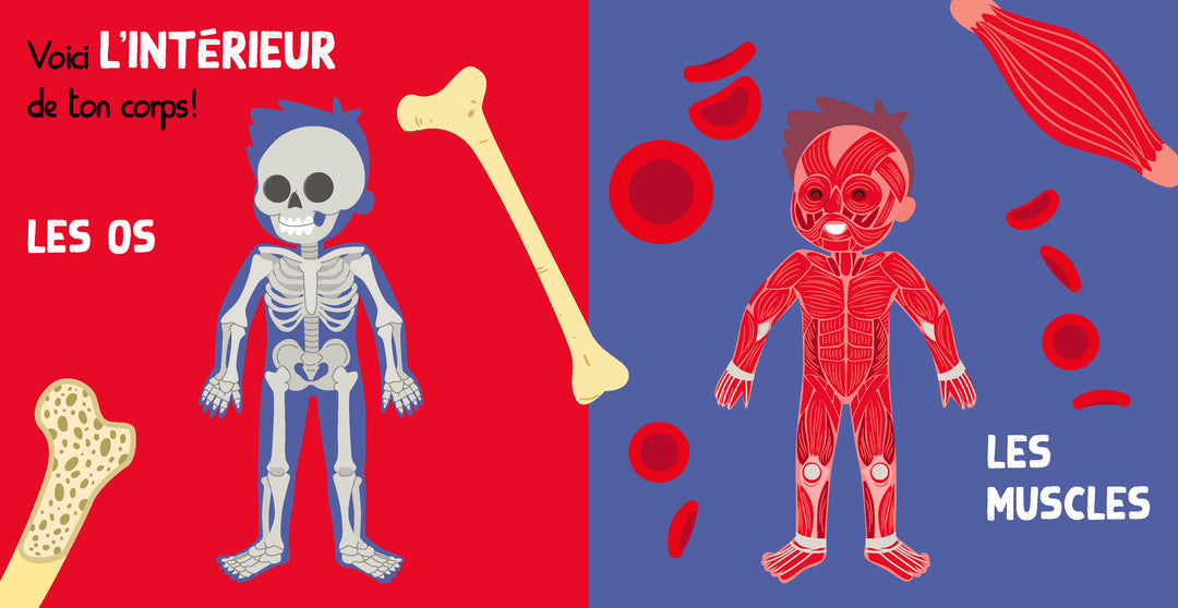 Encyclomini - Mon imagier du corps