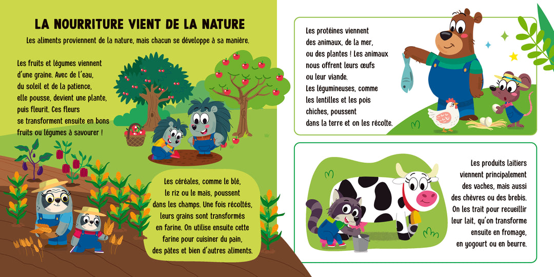 Un pas à la fois : La nourriture