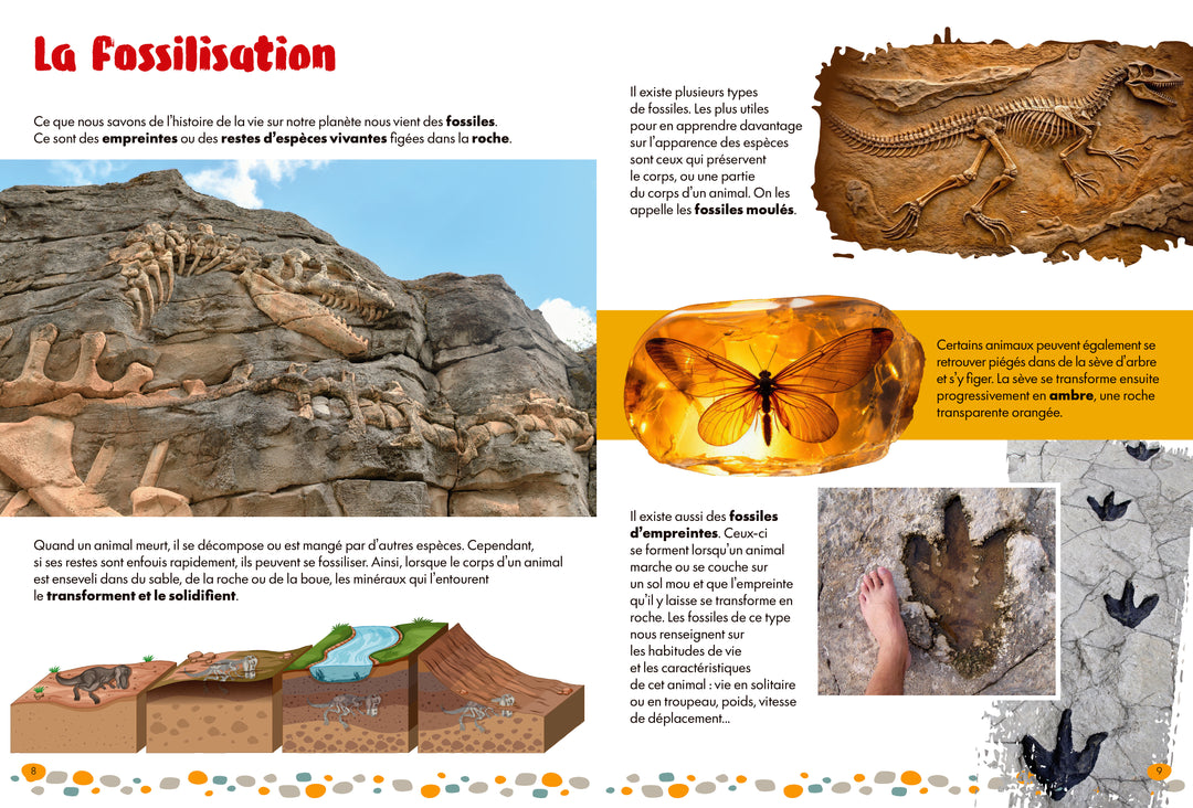 Le livre des dinosaures