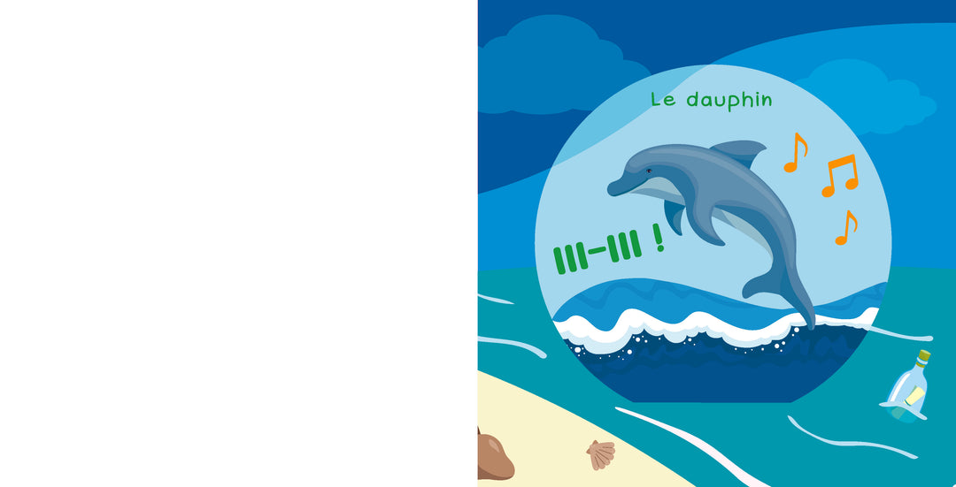 Soulève et écoute : Les animaux marins
