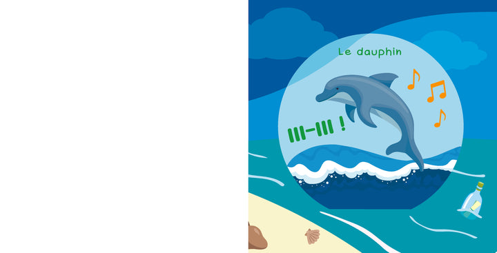 Soulève et écoute : Les animaux marins