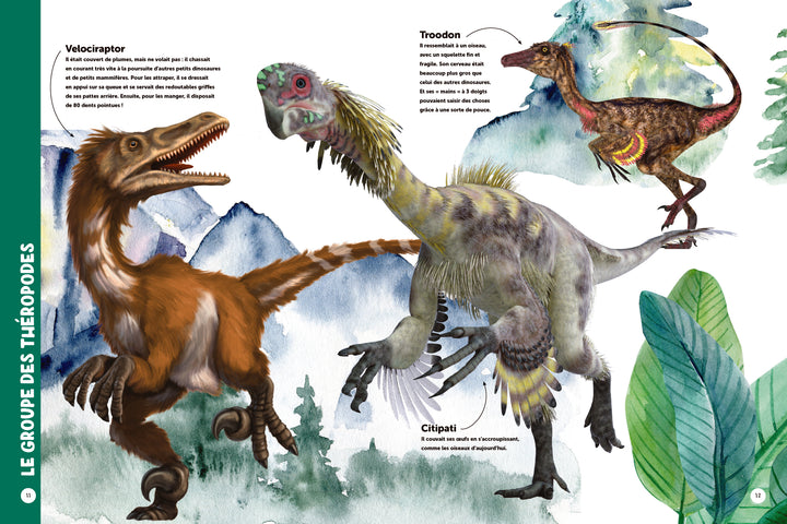 Mon premier livre des dinosaures