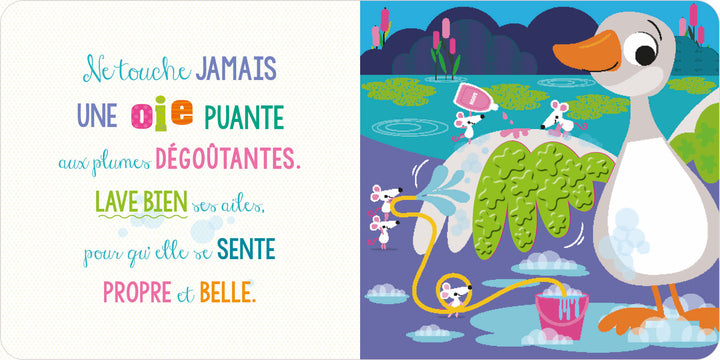 Ne touche jamais un orignal !