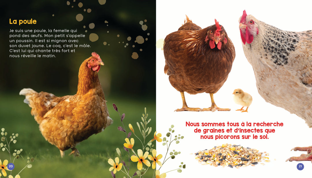Mon livre des animaux de la ferme