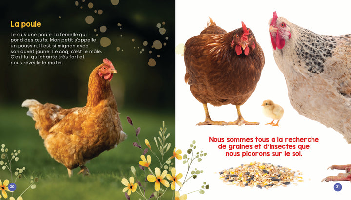 Mon livre des animaux de la ferme