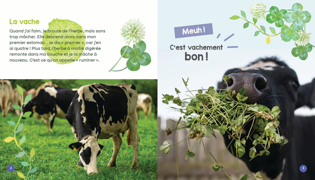 Mon livre des animaux de la ferme