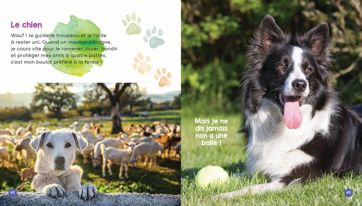 Mon livre des animaux de la ferme
