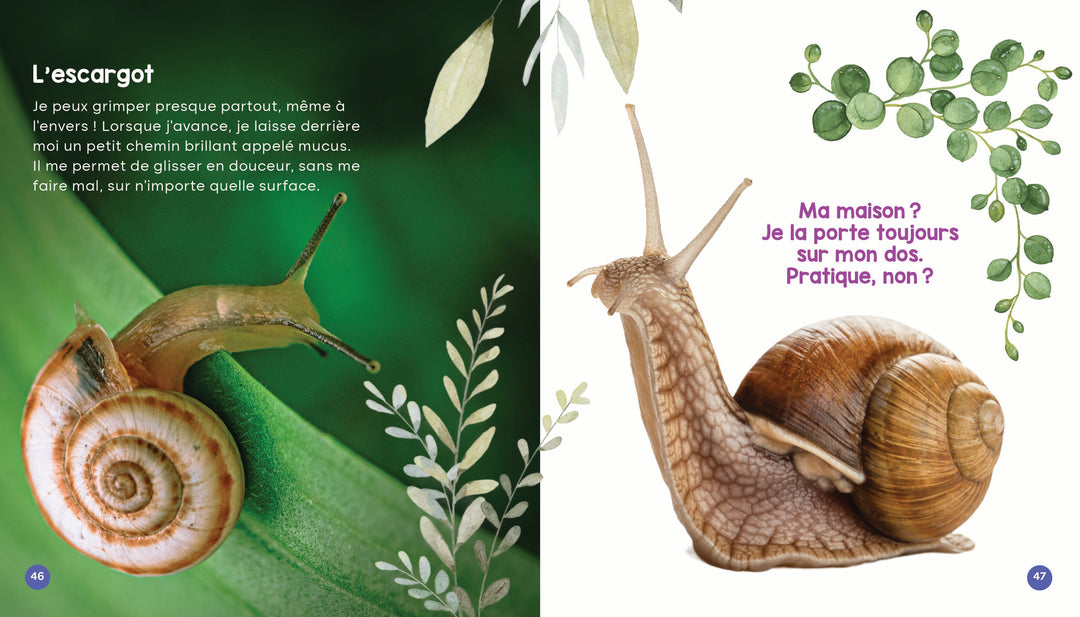 Mon livre des animaux de la ferme