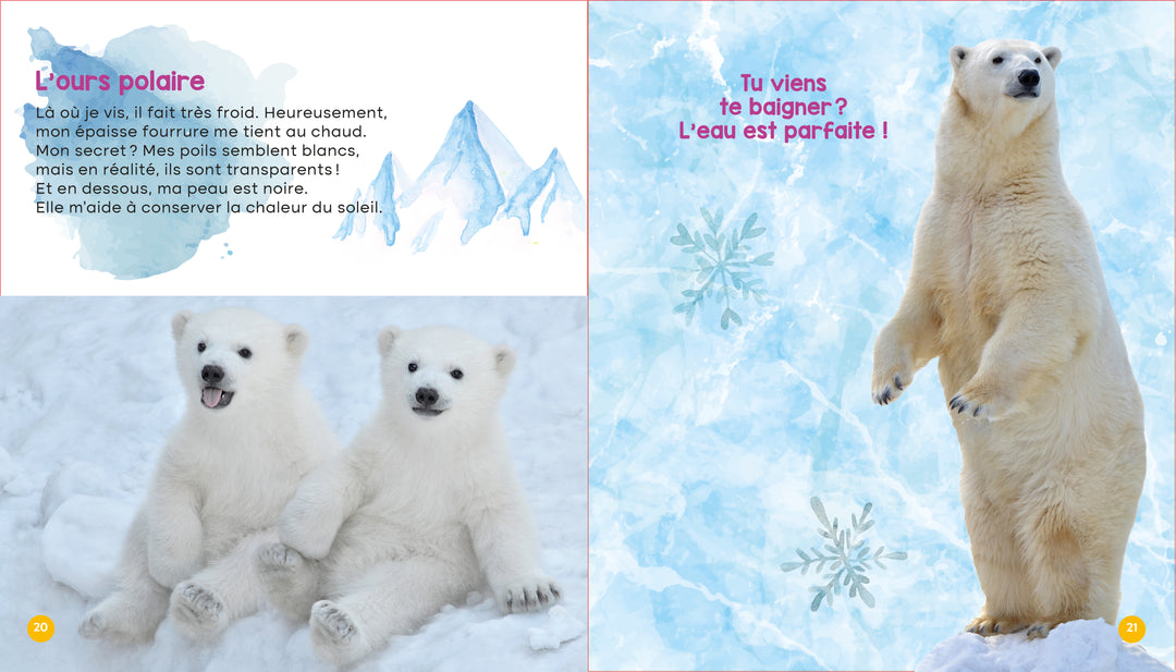Mon livre des animaux du Québec