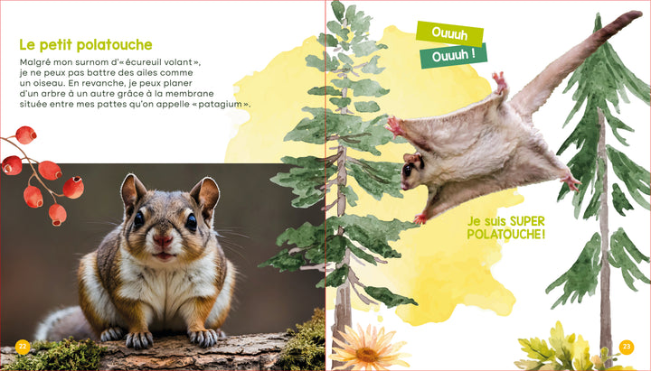 Mon livre des animaux du Québec