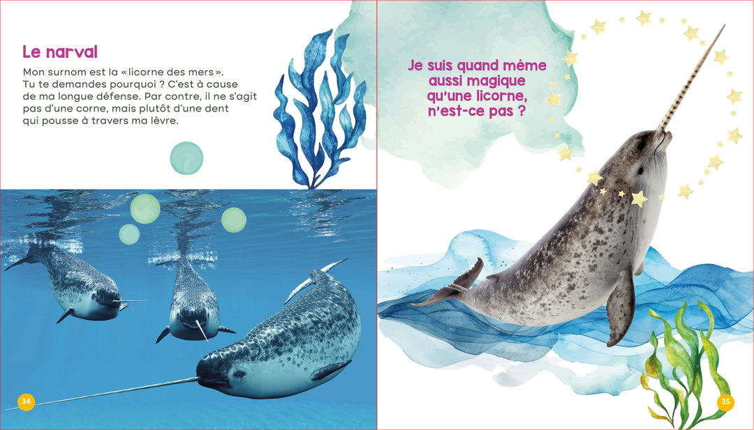 Mon livre des animaux du Québec