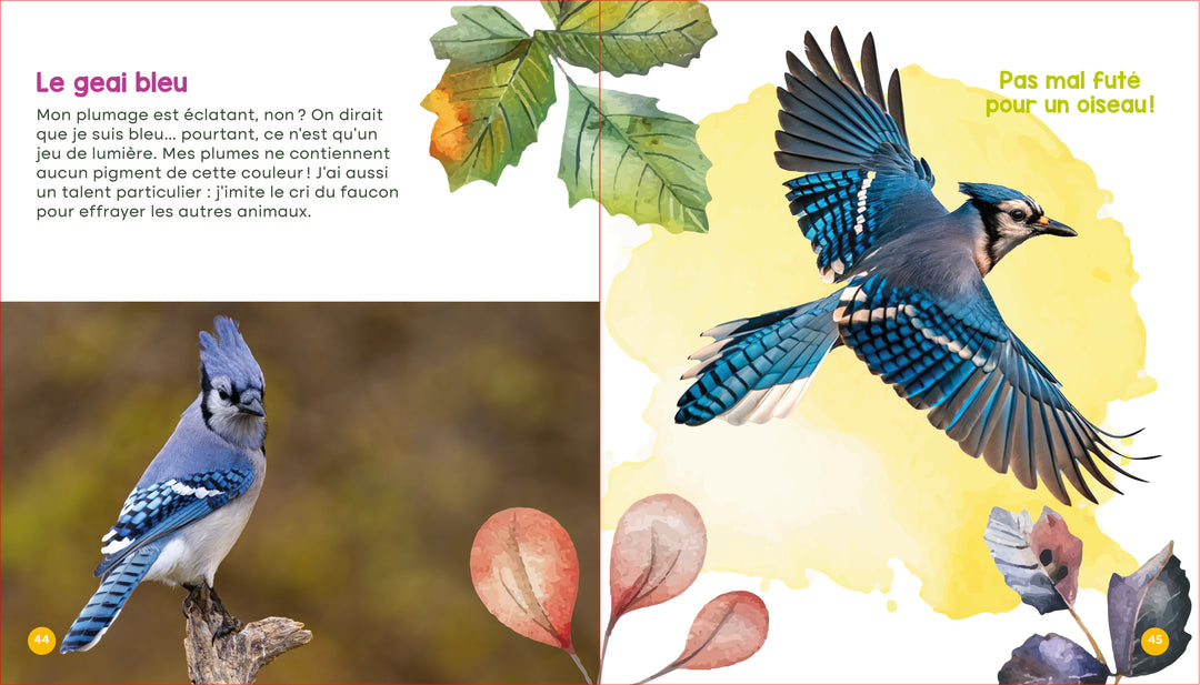 Mon livre des animaux du Québec