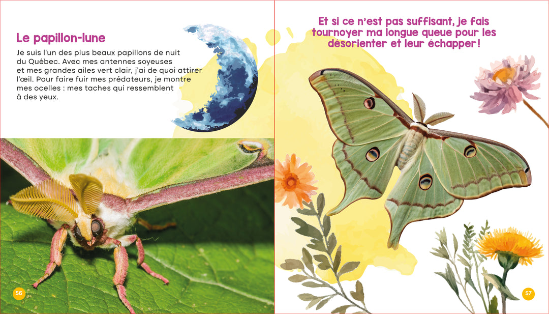 Mon livre des animaux du Québec