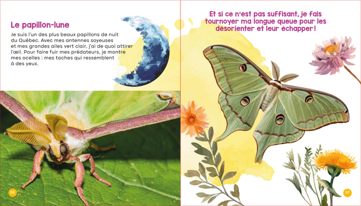 Mon livre des animaux du Québec