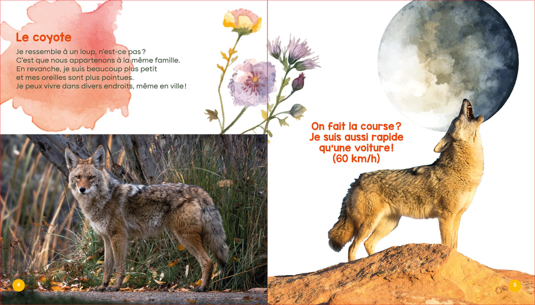 Mon livre des animaux du Québec