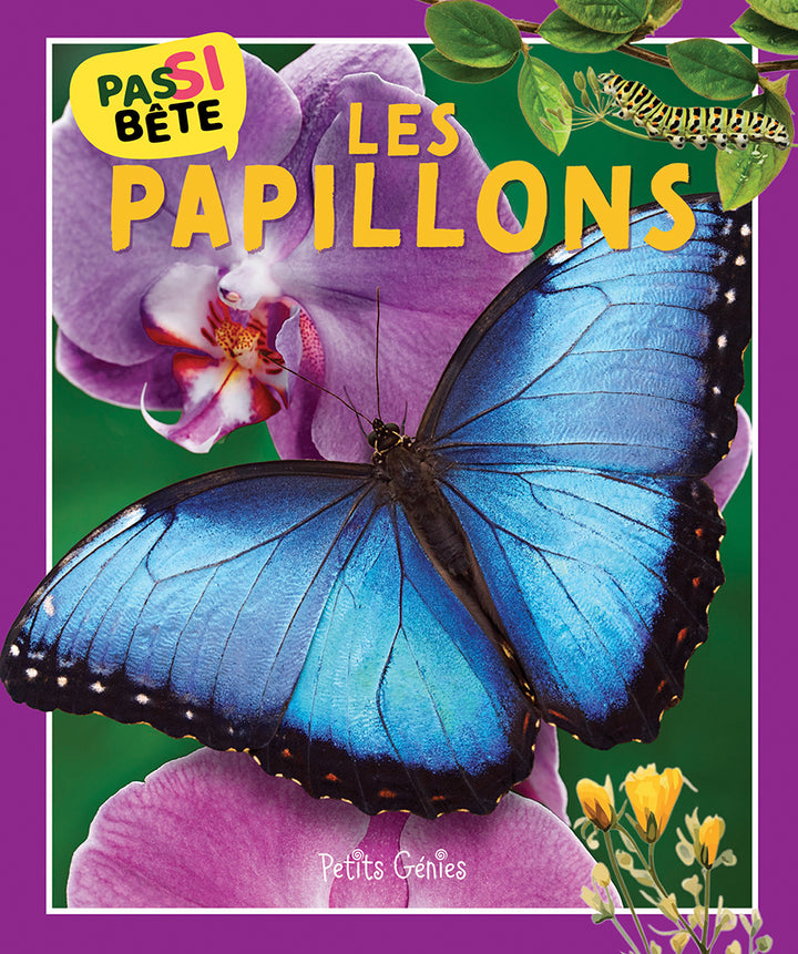Pas si bête : Les papillons