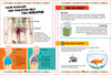 The Human Body Book