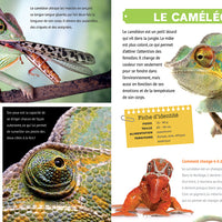 Mon grand animalier