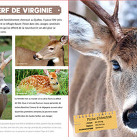 Mon grand animalier du Québec