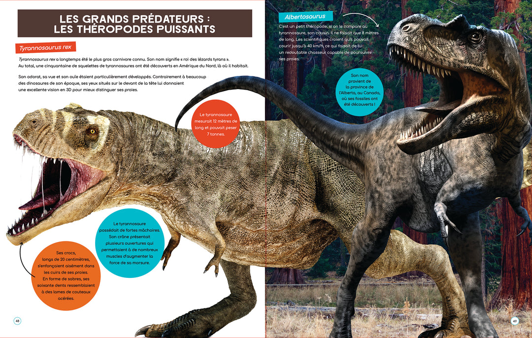 Les différents types de dinosaures - Le regne des dinosaures