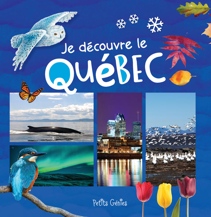 Coffret : Je découvre le Québec