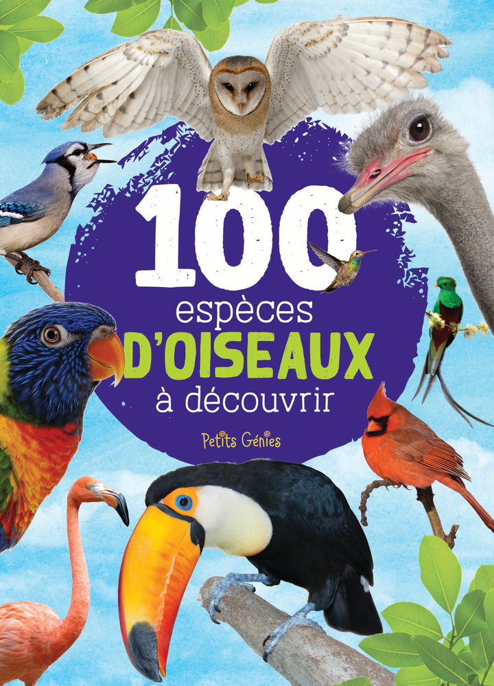 100 espèces d'oiseaux à découvrir