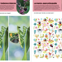 Jeux et coloriages des insectes et bestioles