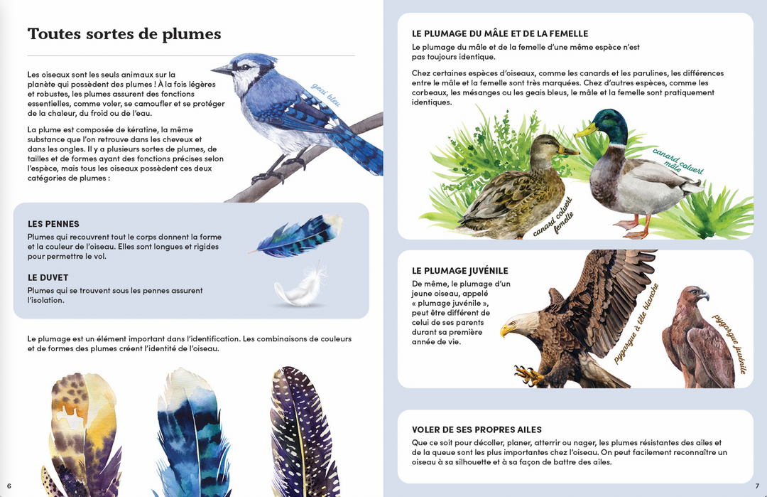 Facilement distrait par les oiseaux - Cahier d'observation des oiseaux:  Carnet DIN A5 (6x9) pour l'observation des oiseaux avec 120 pages  spécialement  l'ornithologie et l'observation des oiseaux : Friends,  Birdwatching: 