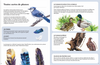 Mon coffret d'observation des oiseaux